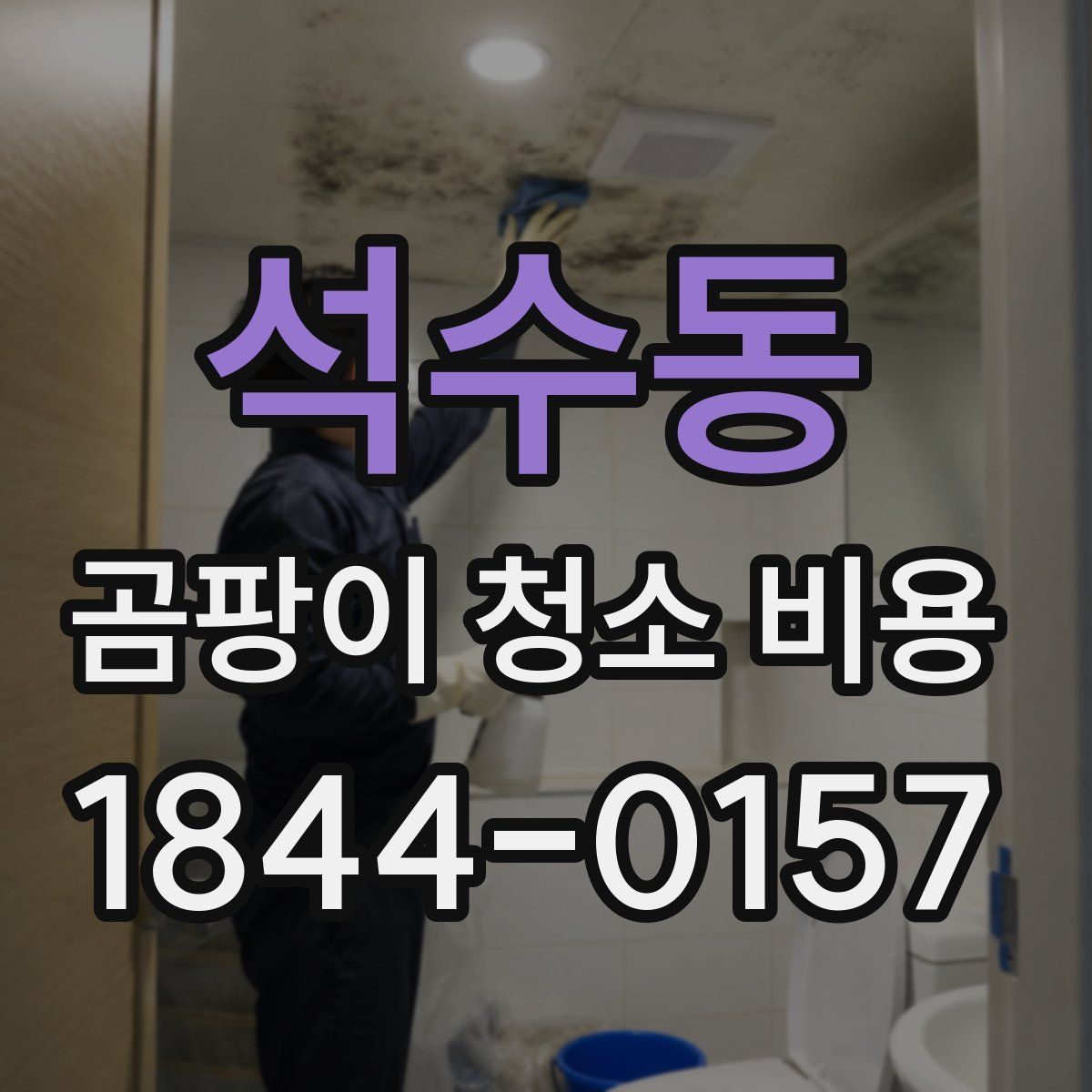 석수동 곰팡이 청소 비용