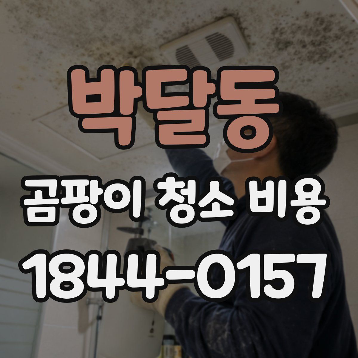 박달동 곰팡이 청소 비용