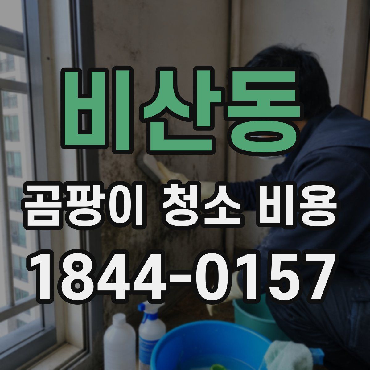 비산동 곰팡이 청소 비용