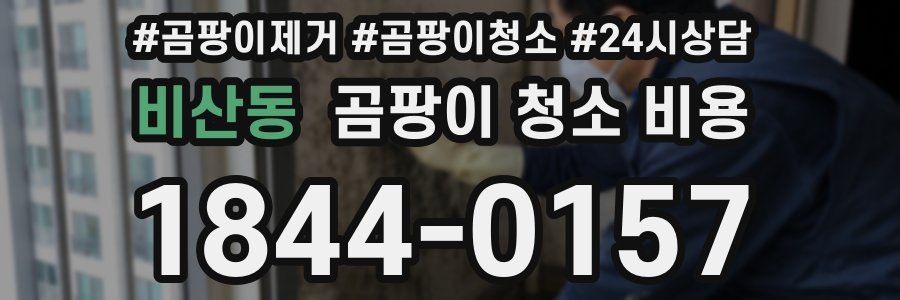 비산동 곰팡이 청소 비용