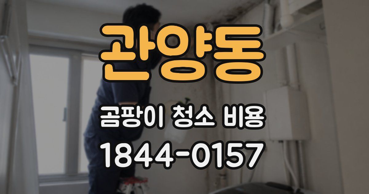 관양동 곰팡이 청소 비용