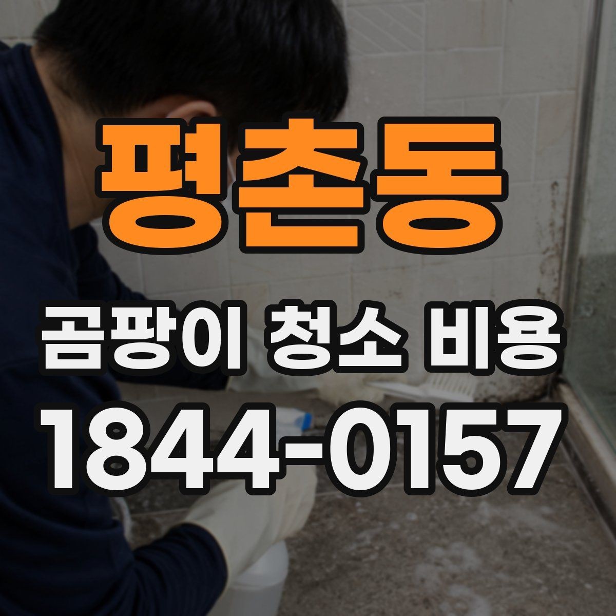평촌동 곰팡이 청소 비용 약품 세척 뒤 환기 관리까지 포함해 보는 법