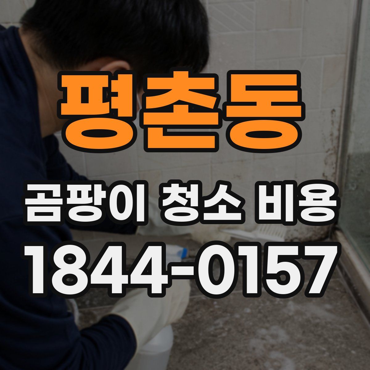 평촌동 곰팡이 청소 비용