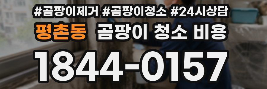 평촌동 곰팡이 청소 비용