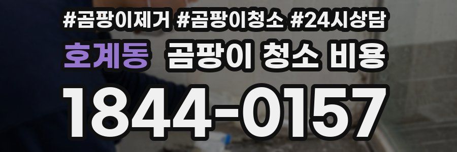 호계동 곰팡이 청소 비용