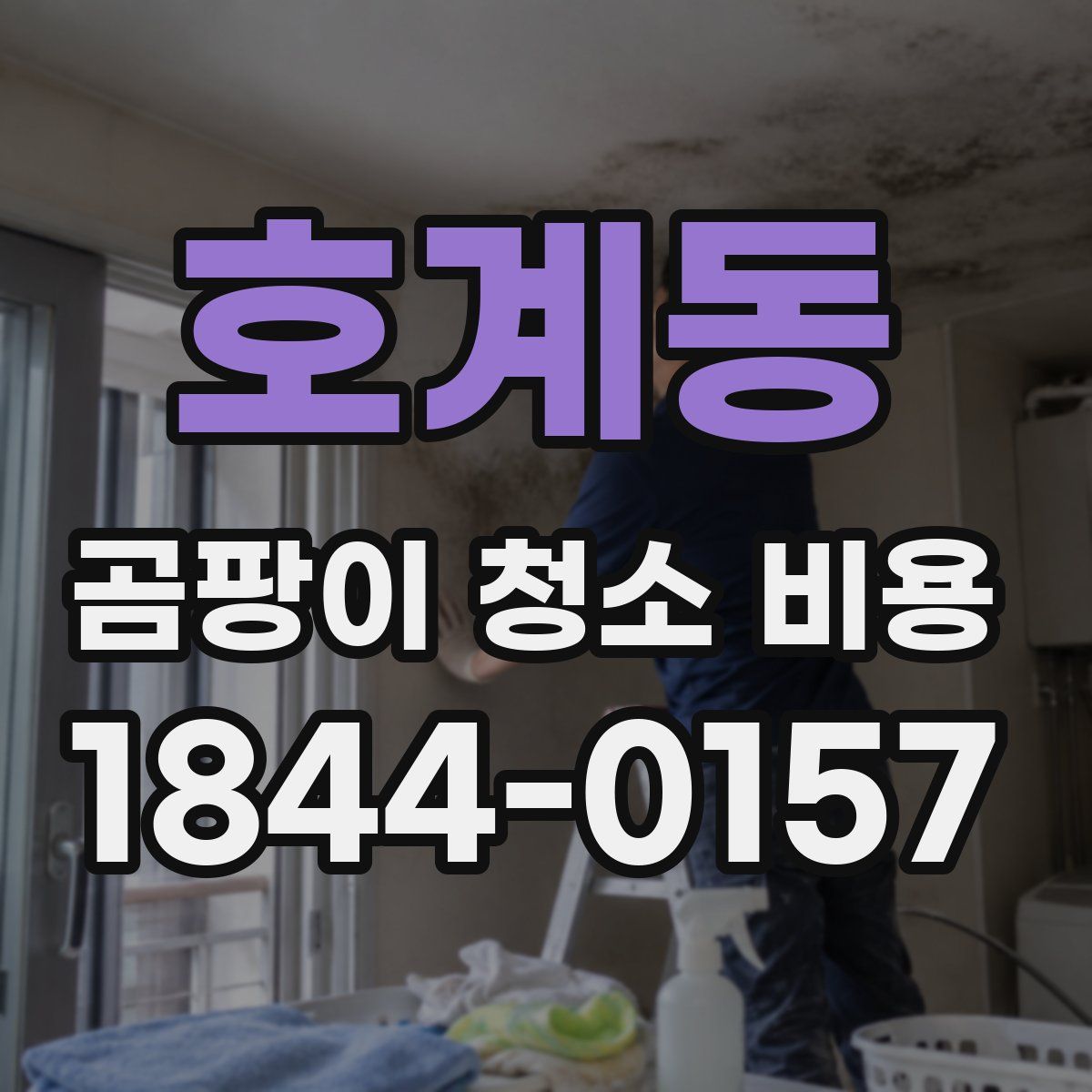 호계동 곰팡이 청소 비용