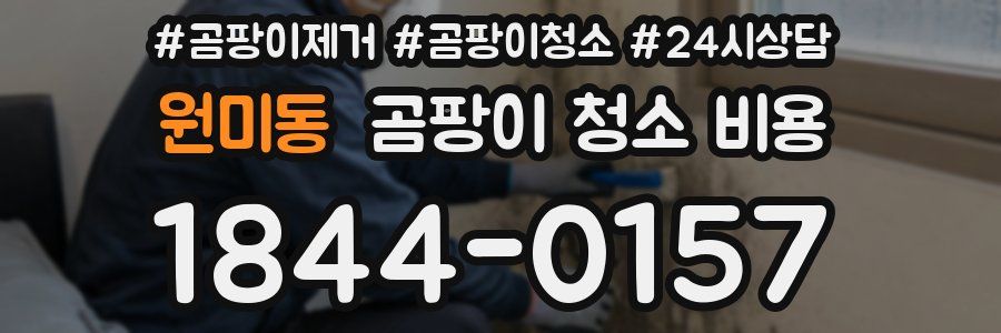 원미동 곰팡이 청소 비용