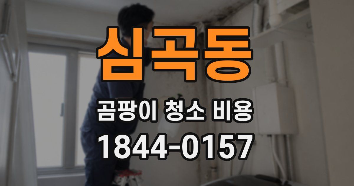 심곡동 곰팡이 청소 비용