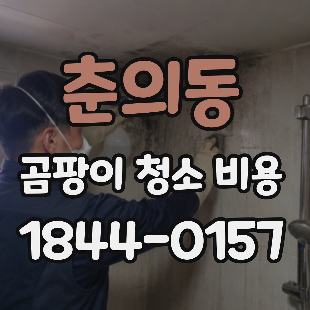 춘의동 곰팡이 청소 비용