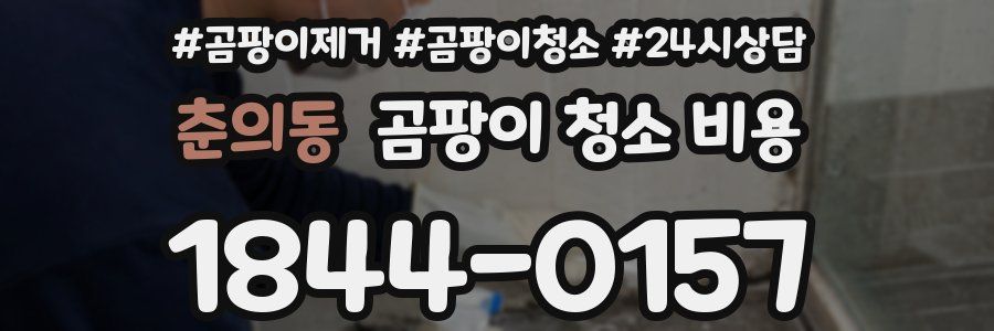 춘의동 곰팡이 청소 비용