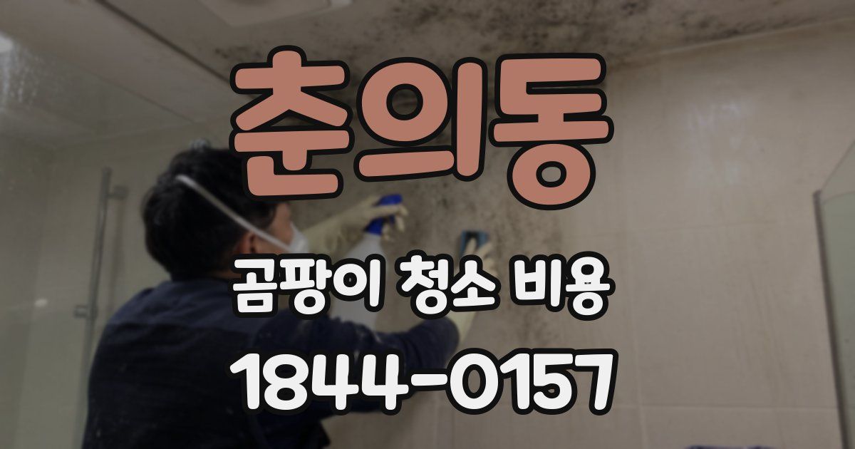 춘의동 곰팡이 청소 비용