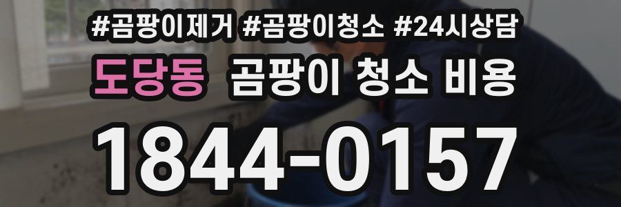도당동 곰팡이 청소 비용