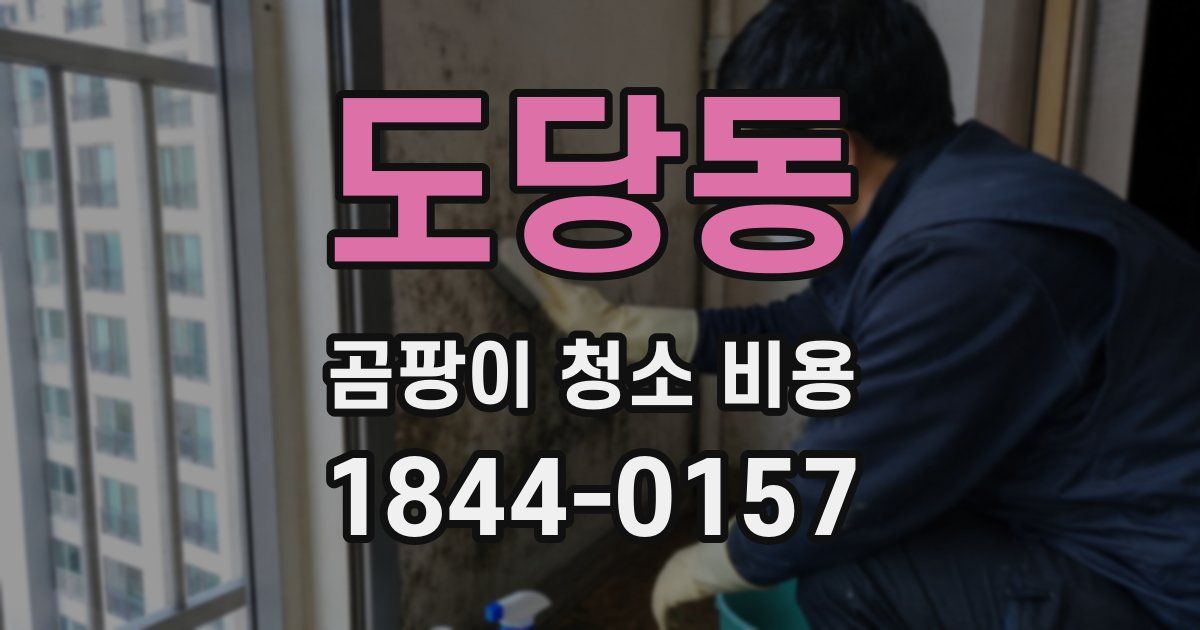 도당동 곰팡이 청소 비용