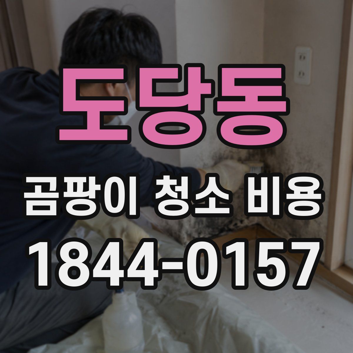 도당동 곰팡이 청소 비용