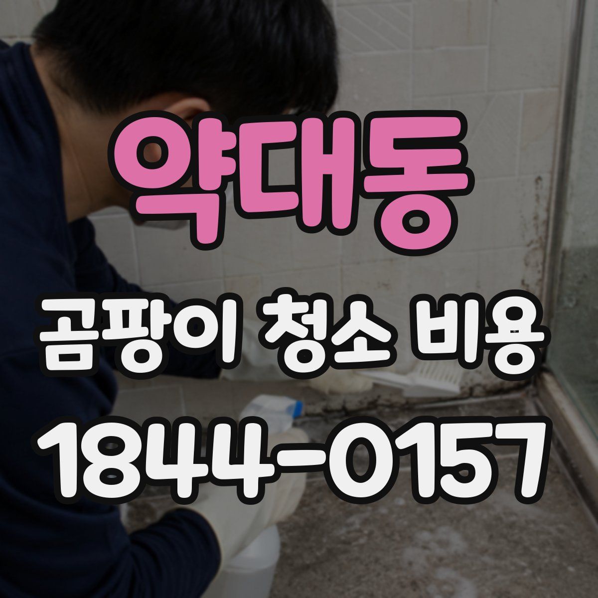약대동 곰팡이 청소 비용
