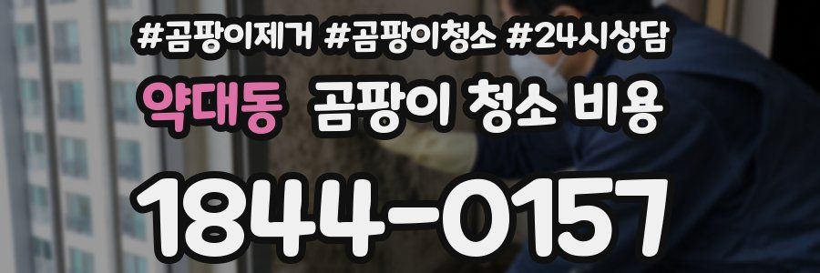 약대동 곰팡이 청소 비용