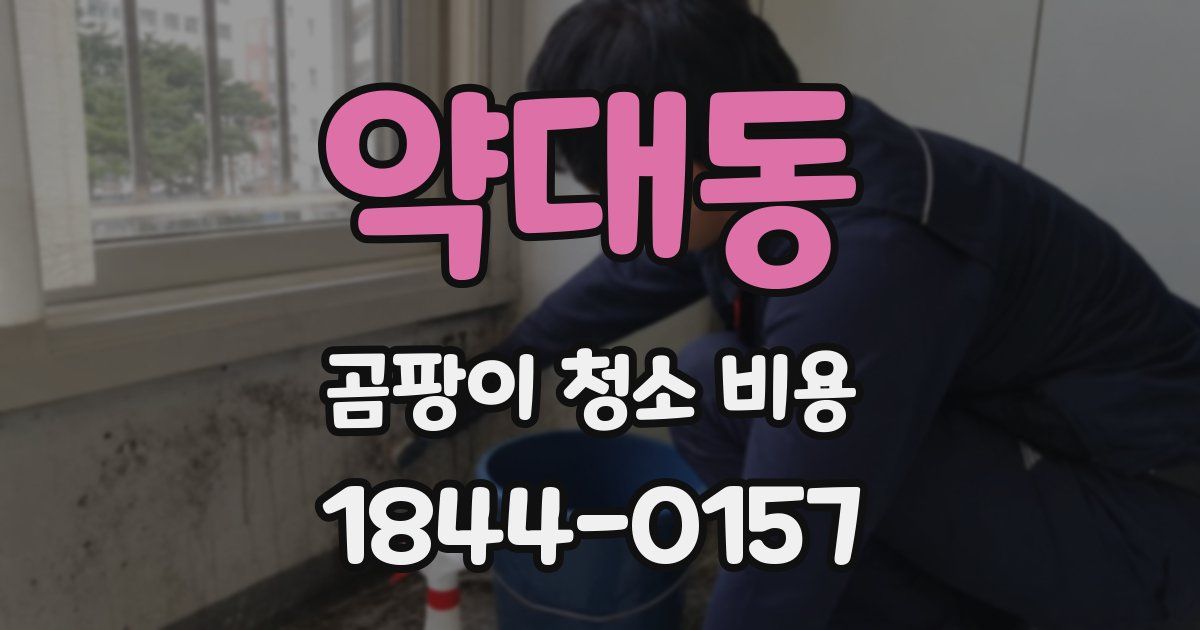 약대동 곰팡이 청소 비용