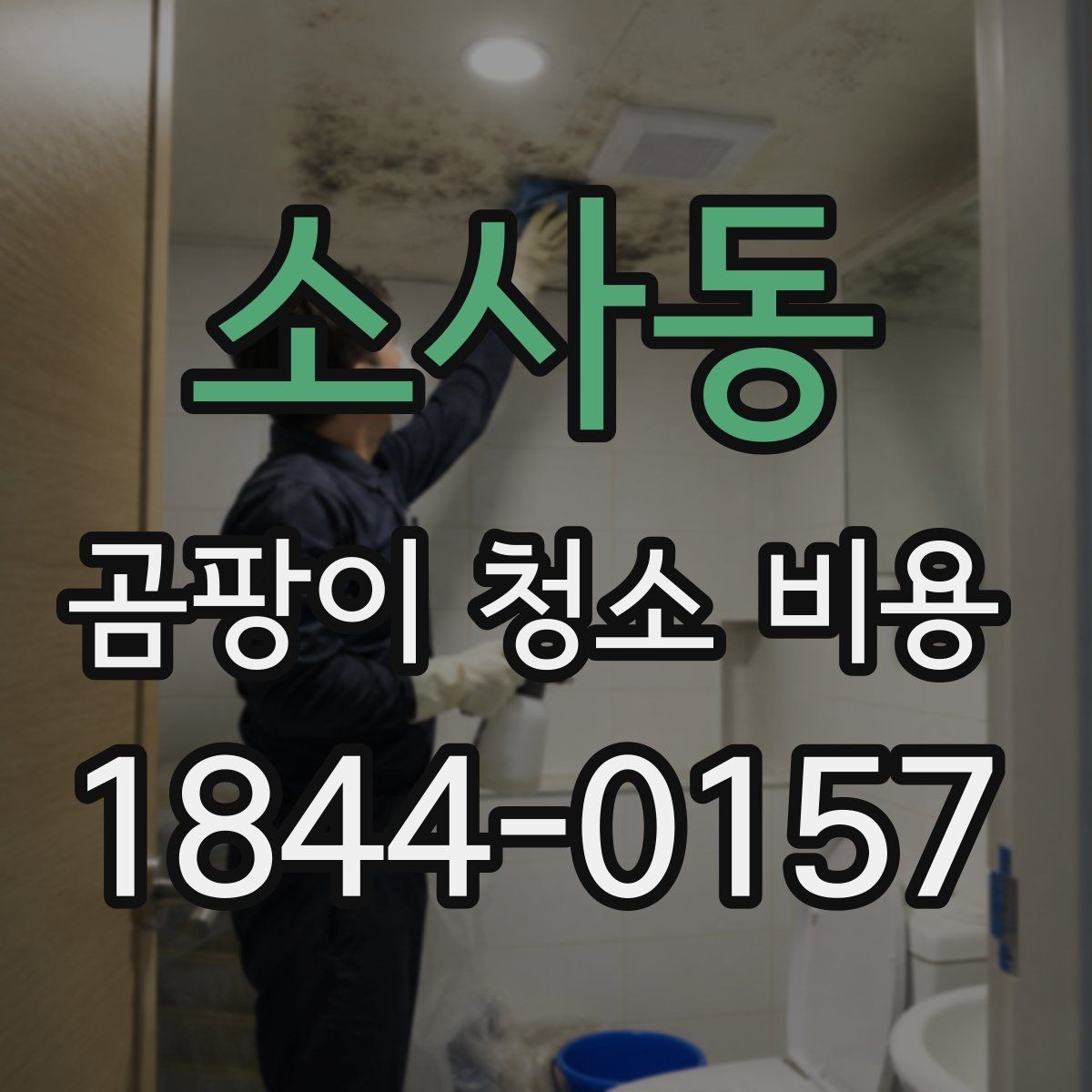 소사동 곰팡이 청소 비용 곰팡이 종류에 따라 달라지는 처리 방식