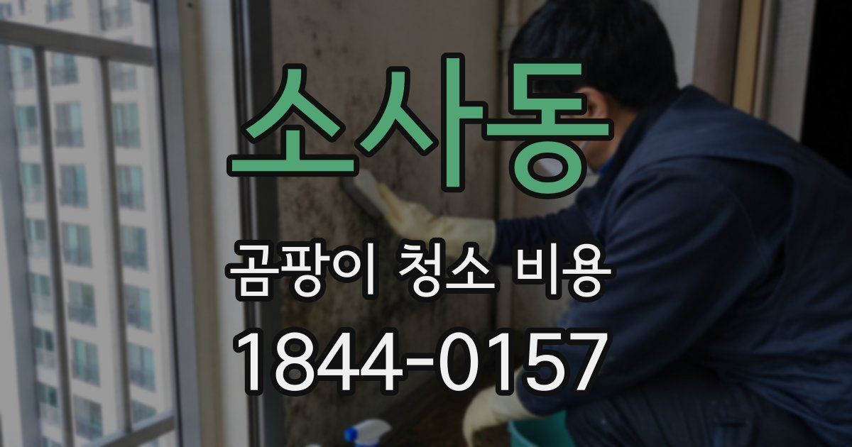소사동 곰팡이 청소 비용