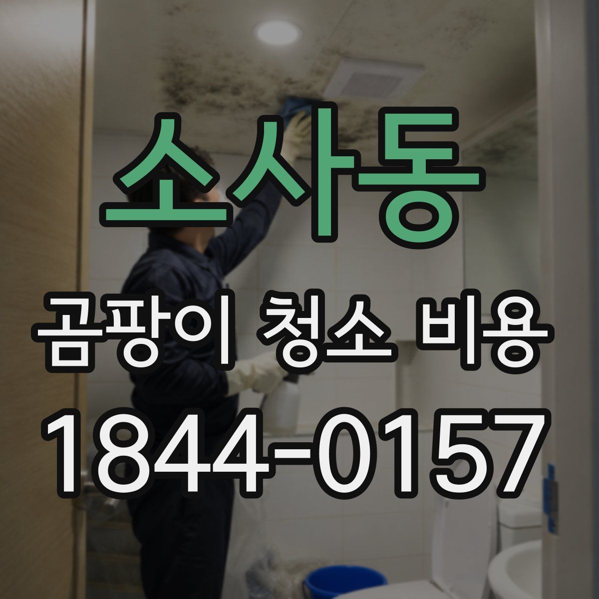 소사동 곰팡이 청소 비용