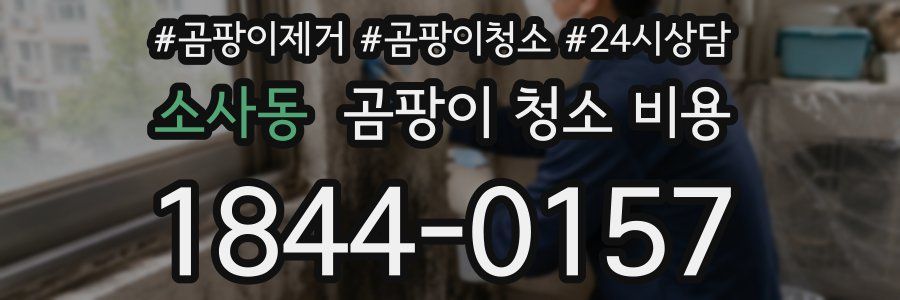소사동 곰팡이 청소 비용