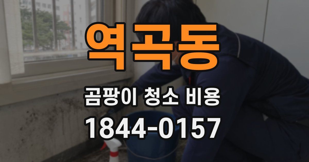 역곡동 곰팡이 청소 비용