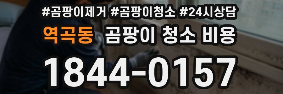 역곡동 곰팡이 청소 비용