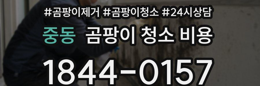 중동 곰팡이 청소 비용