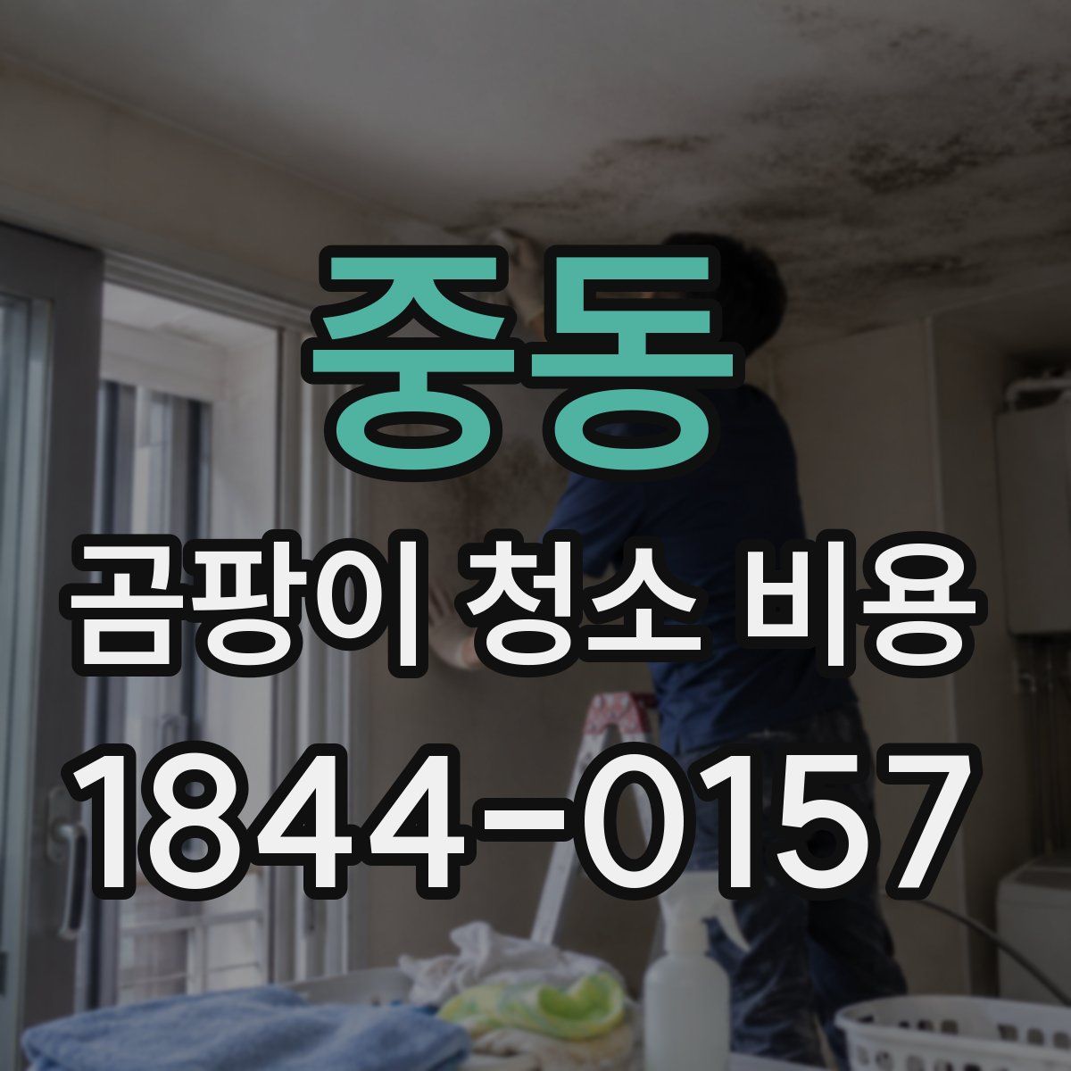 중동 곰팡이 청소 비용