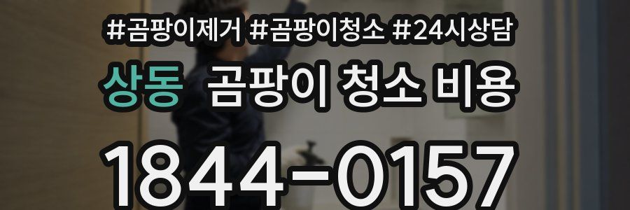 상동 곰팡이 청소 비용