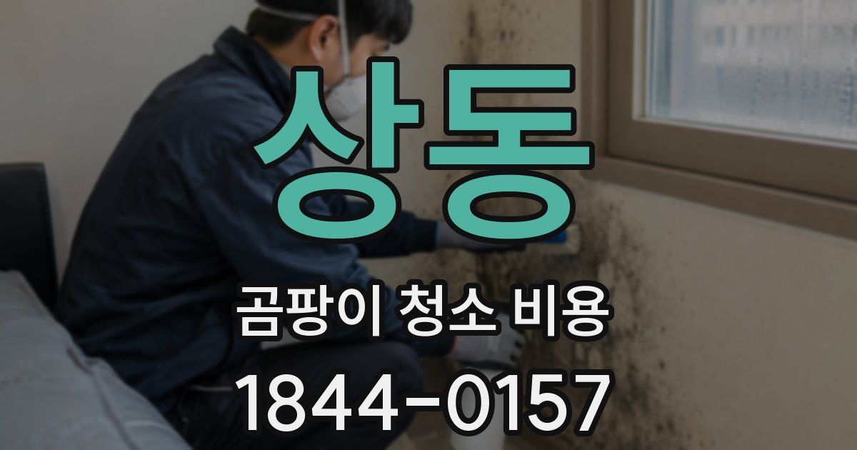 상동 곰팡이 청소 비용