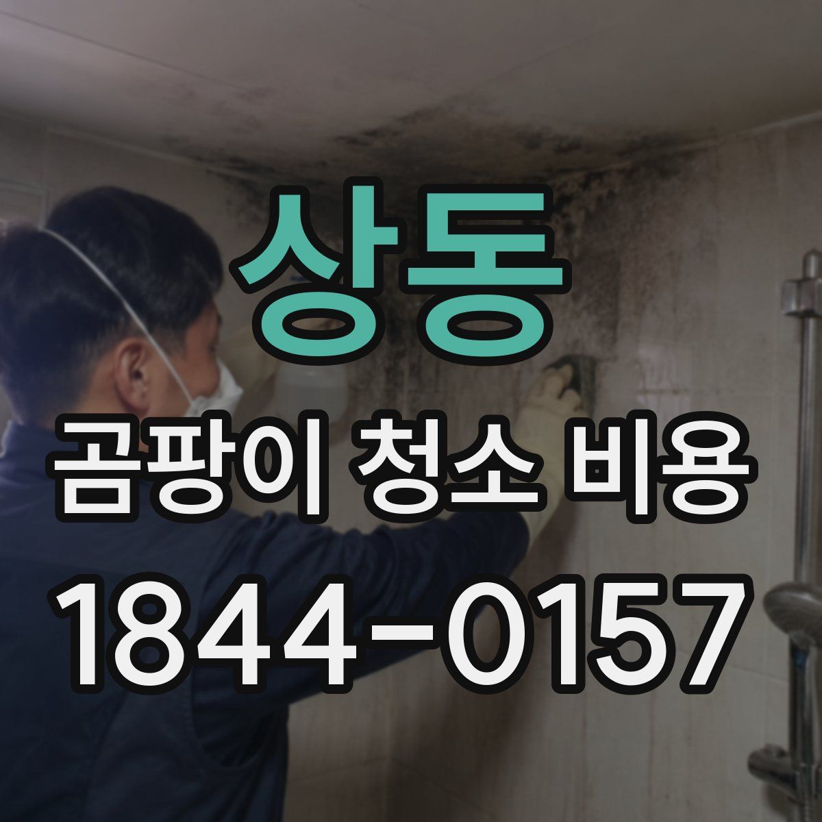 상동 곰팡이 청소 비용
