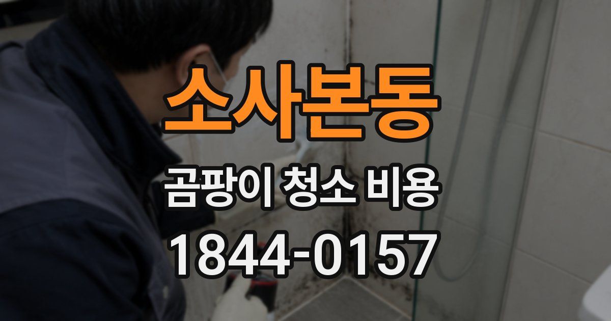 소사본동 곰팡이 청소 비용