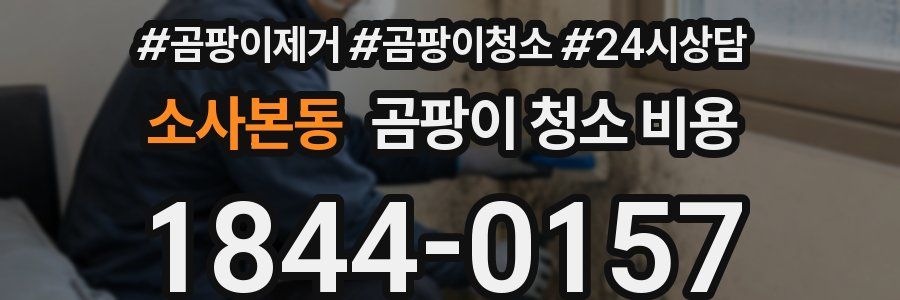 소사본동 곰팡이 청소 비용