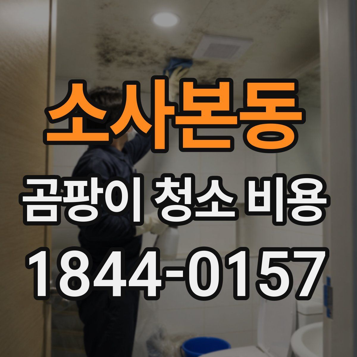 소사본동 곰팡이 청소 비용