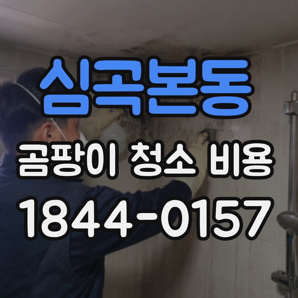 심곡본동 곰팡이 청소 비용
