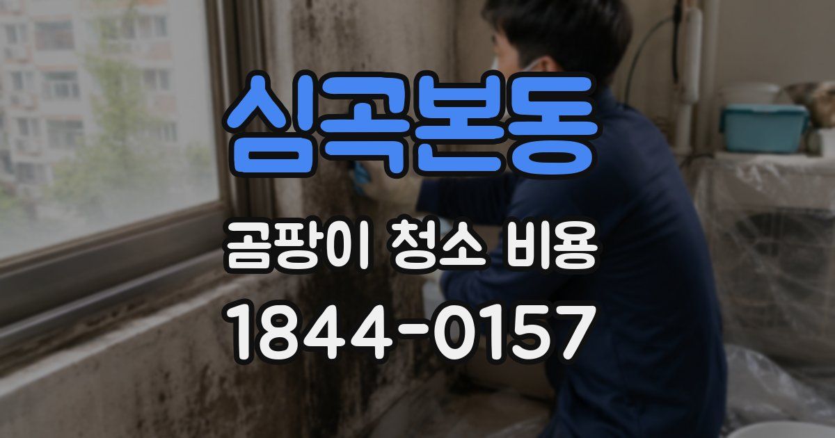 심곡본동 곰팡이 청소 비용