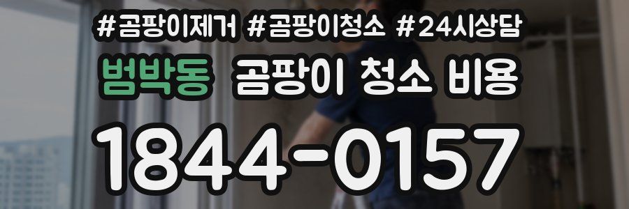 범박동 곰팡이 청소 비용