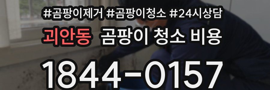 괴안동 곰팡이 청소 비용
