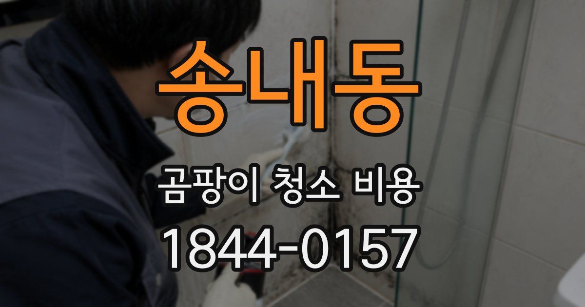 송내동 곰팡이 청소 비용