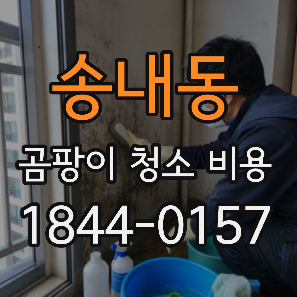 송내동 곰팡이 청소 비용