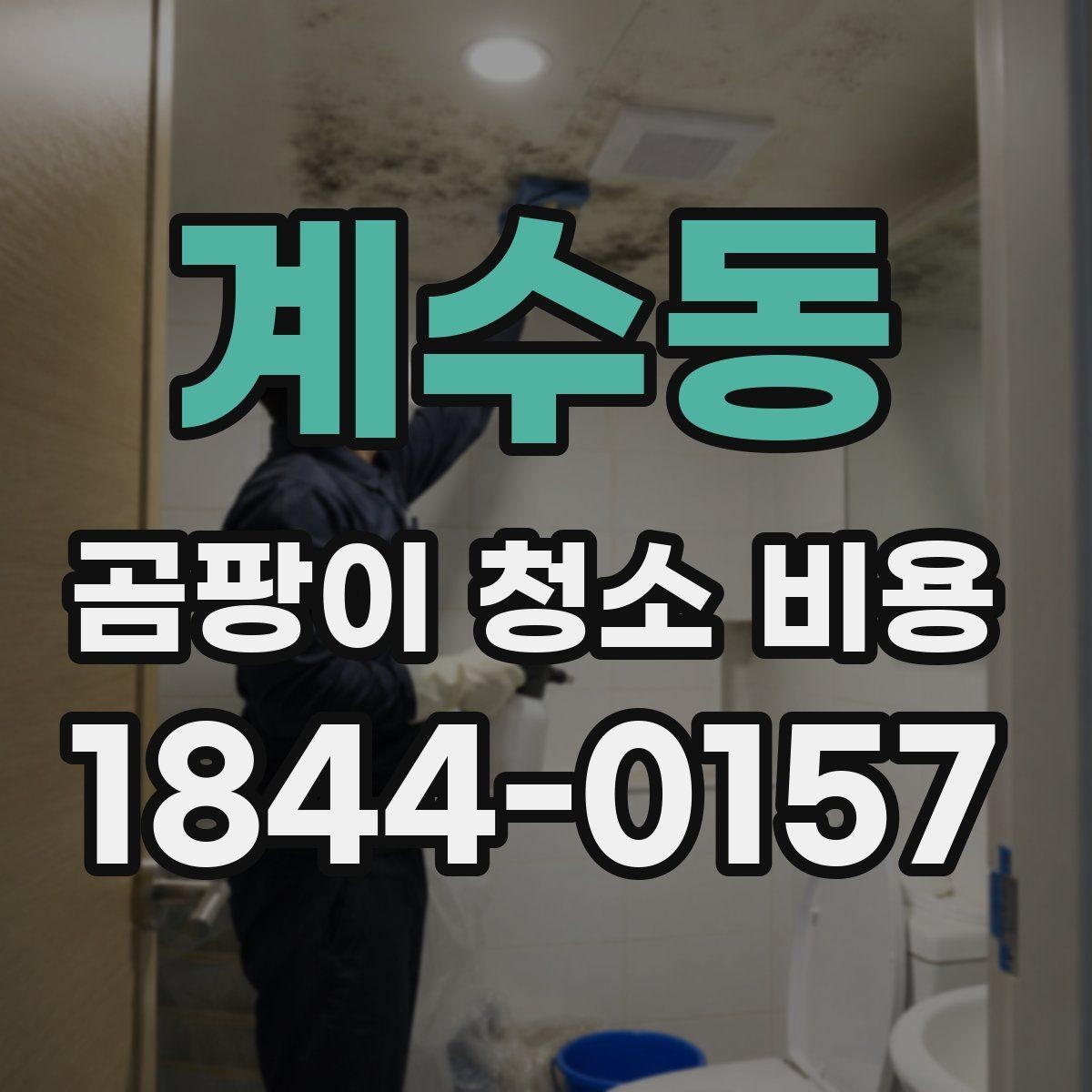 계수동 곰팡이 청소 비용 아이 있는 집에서 자주 묻는 관리 포인트