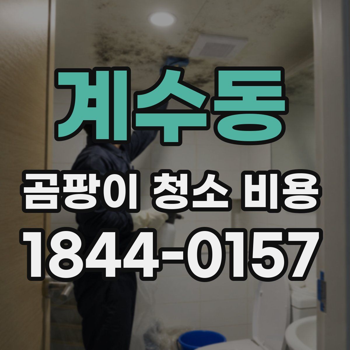 계수동 곰팡이 청소 비용