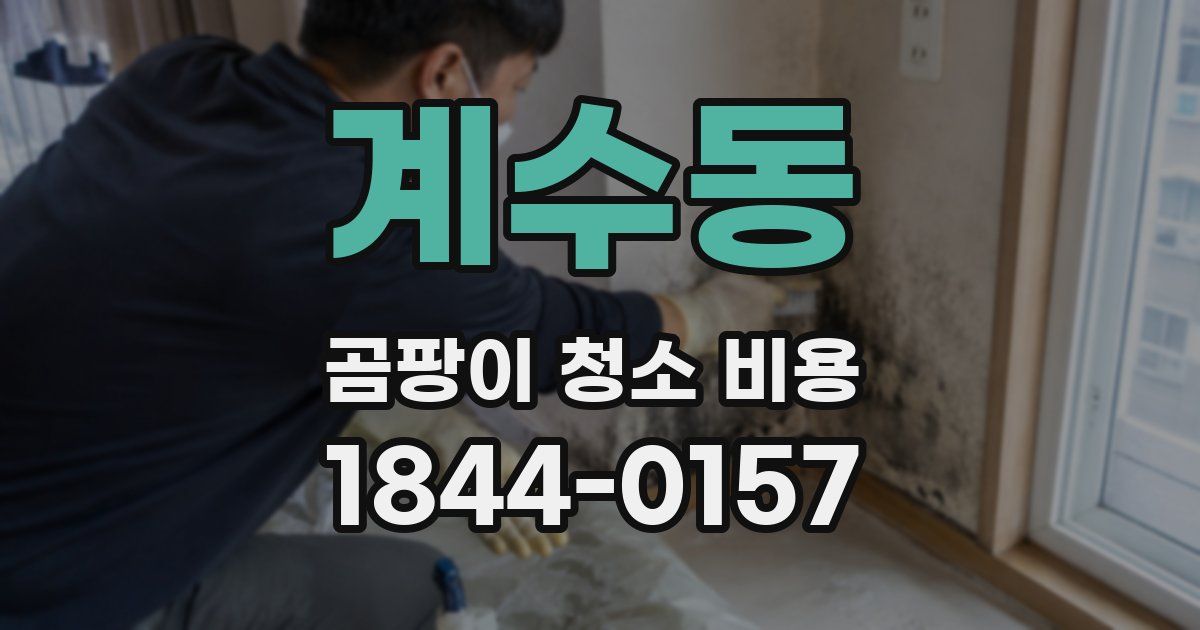 계수동 곰팡이 청소 비용