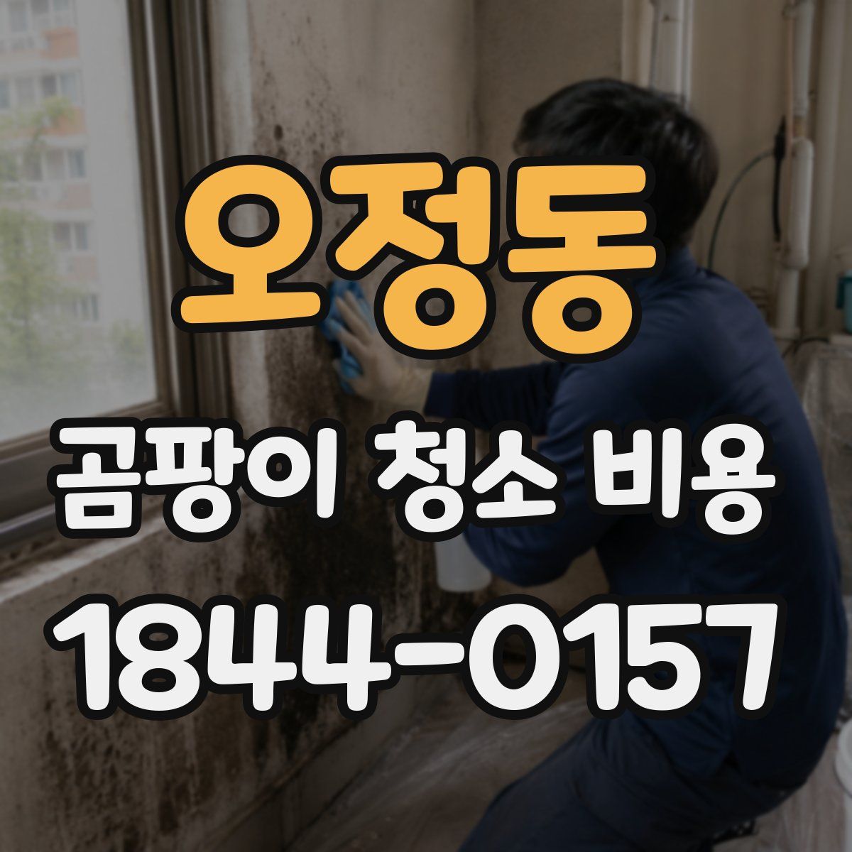 오정동 곰팡이 청소 비용