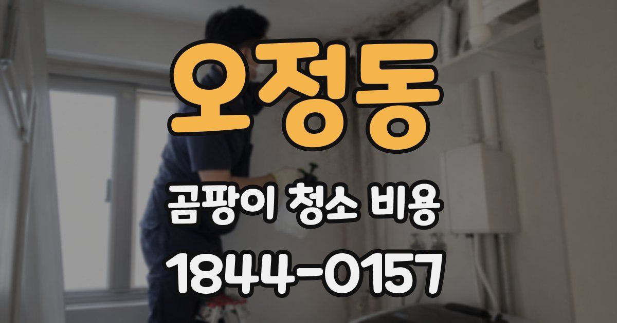 오정동 곰팡이 청소 비용