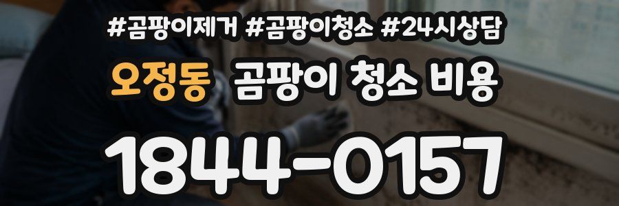 오정동 곰팡이 청소 비용