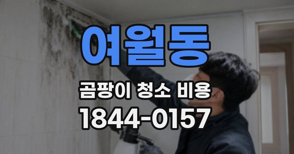 여월동 곰팡이 청소 비용