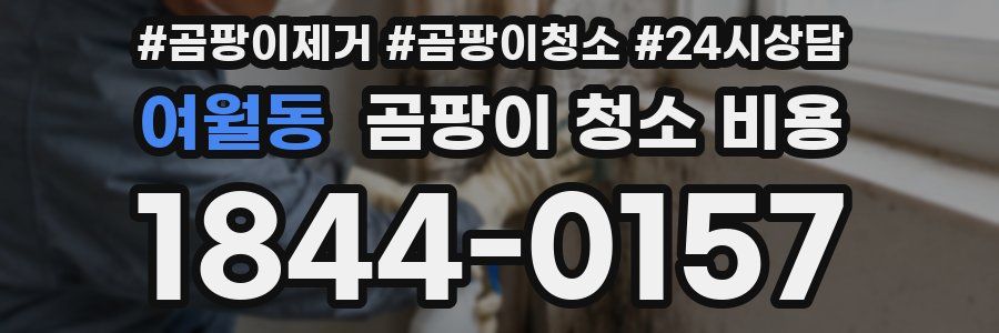 여월동 곰팡이 청소 비용