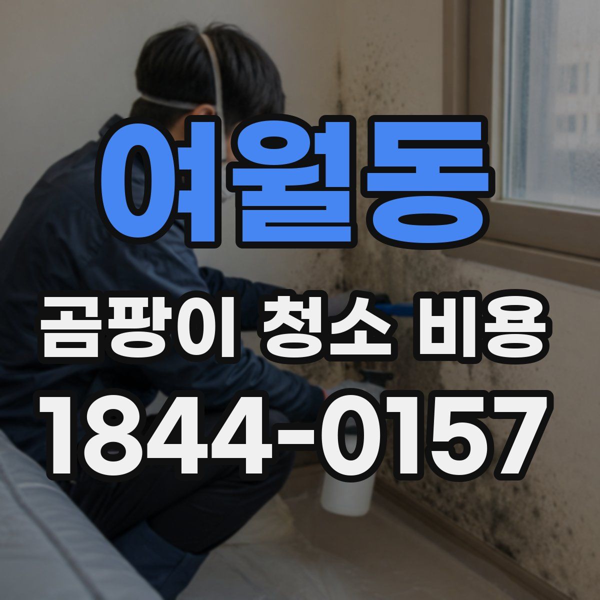 여월동 곰팡이 청소 비용